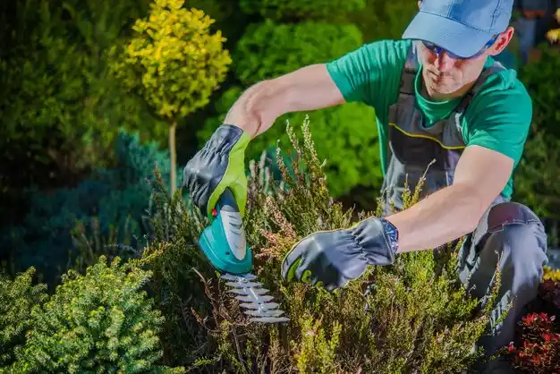 landscaping services Mineville